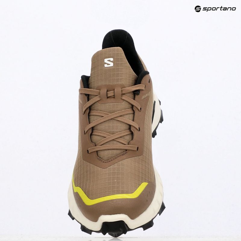 Buty do biegania męskie Salomon Alphacross 5 caribou/canteen/ sulphr 18