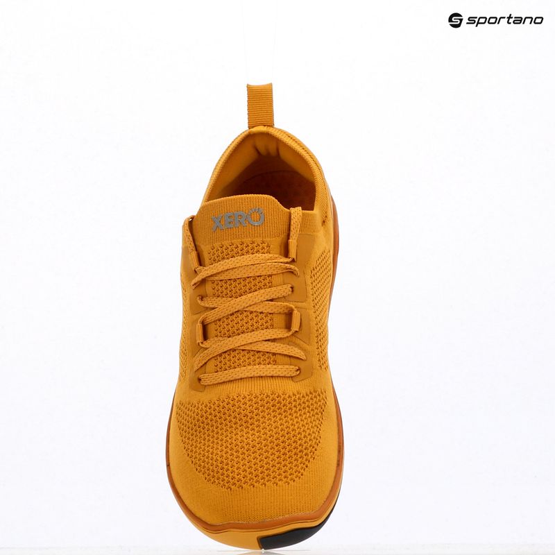Buty barefoot męskie Xero Shoes Nexus Knit gold 9