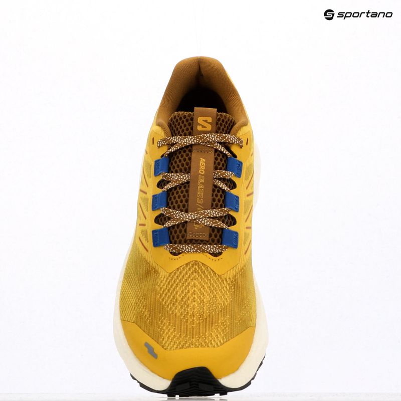 Buty do biegania męskie Salomon Aero Blaze 3 GRVL spicy mustard/vanilla ice/nautical blue 9