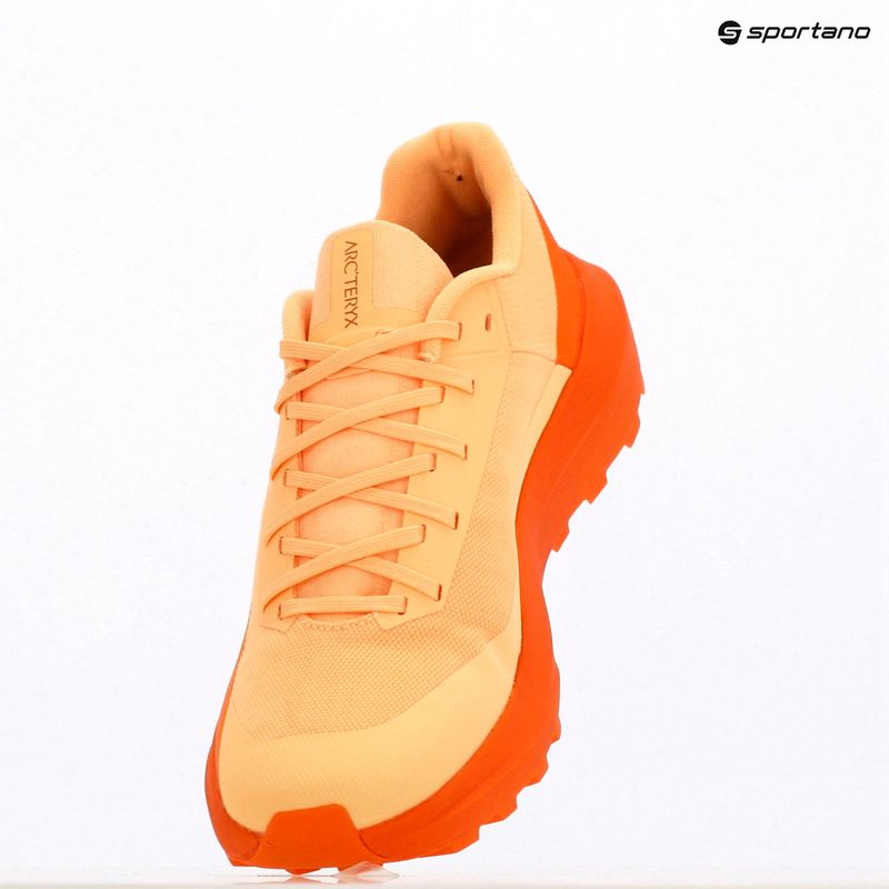 Buty do biegania damskie Arcteryx Norvan LD 4 luminary/verve 11