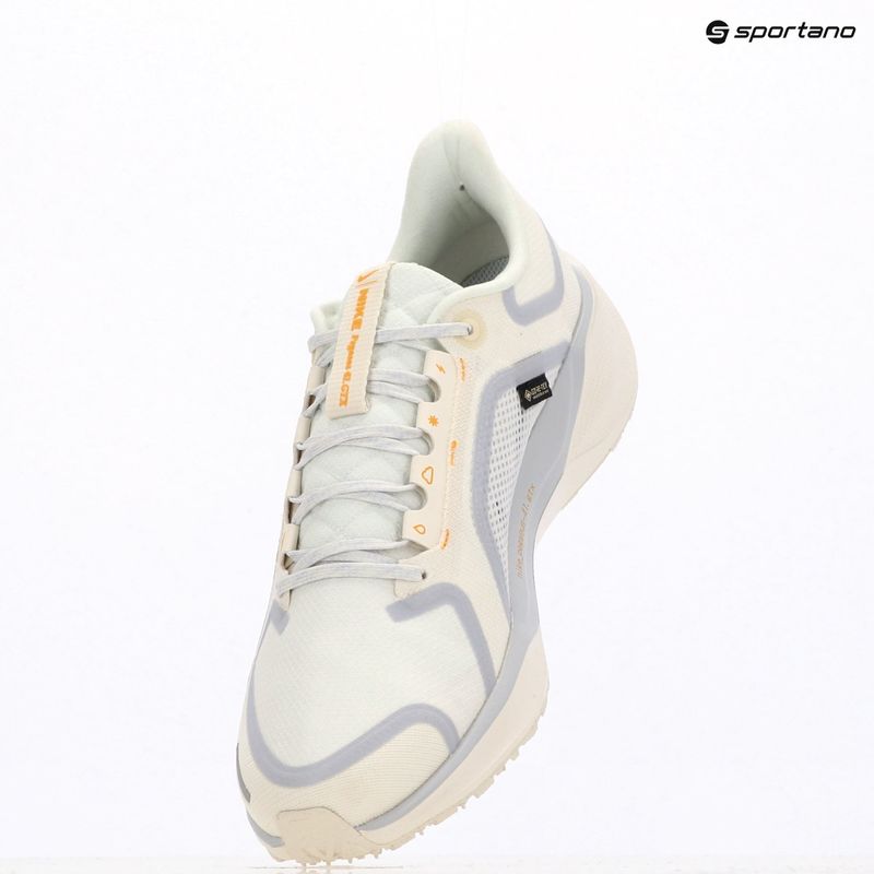 Buty do biegania męskie Nike Pegasus 41 GTX sail/football grey/sundial/ashen slate 6