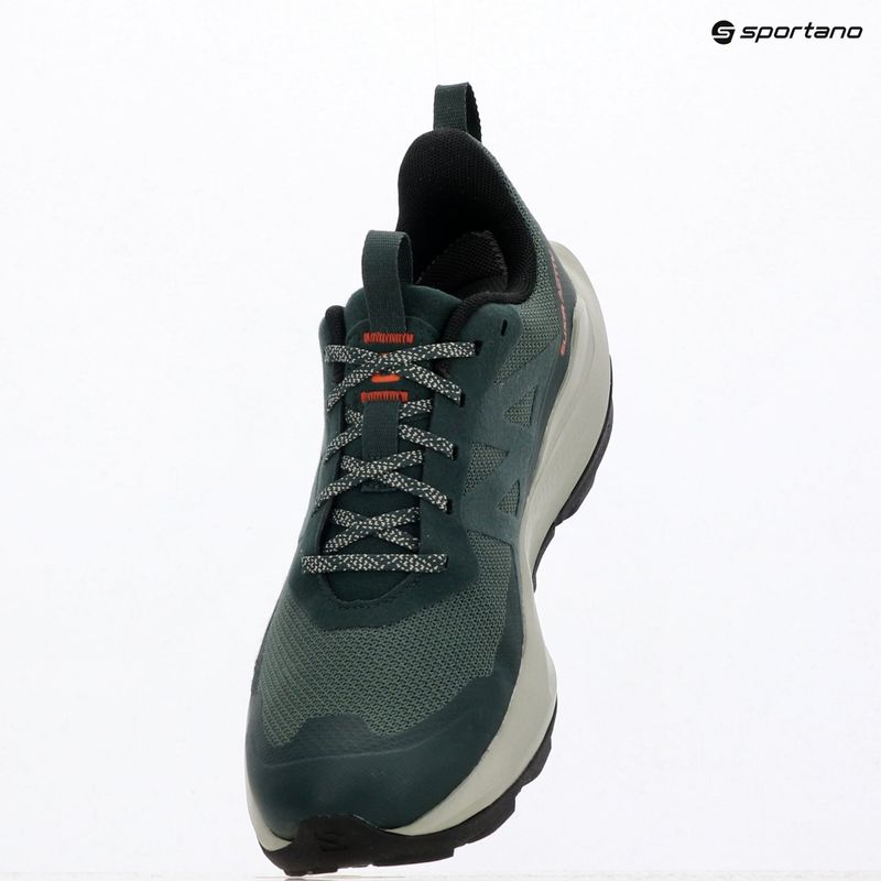 Buty turystyczne męskie Salomon Elixir Activ GTX scarab/green gable 10