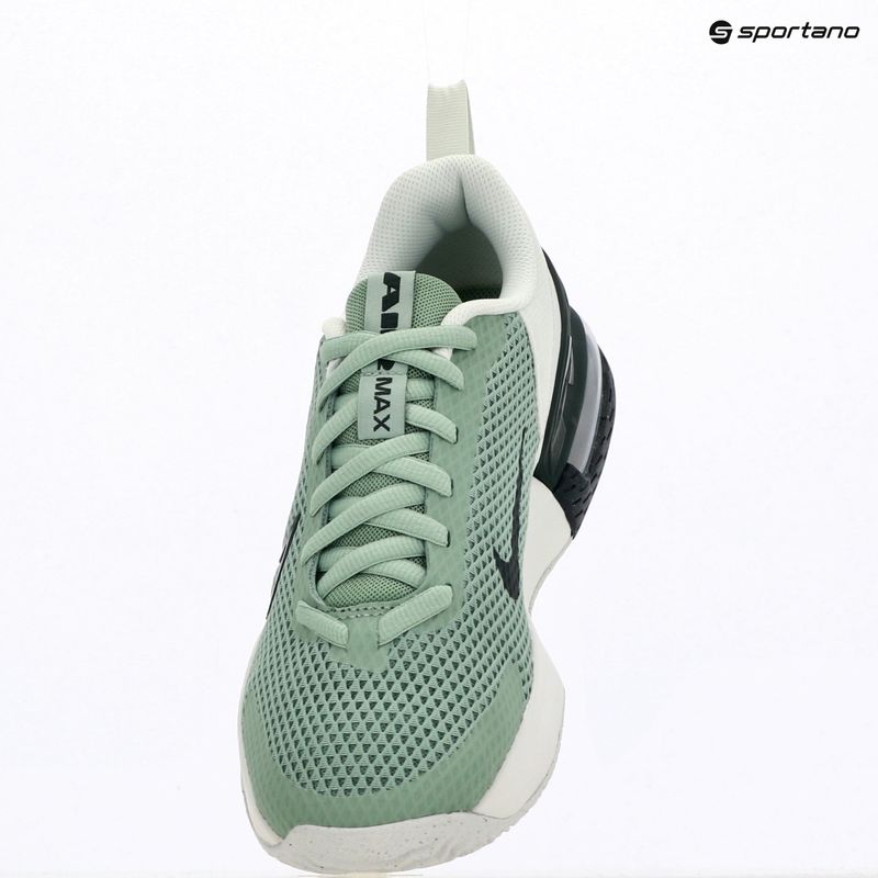 Buty treningowe męskie Nike Air Max Alpha Trainer 6 steam/spruce aura/off white/black spruce 13