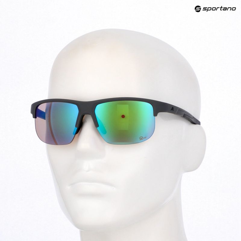 Okulary przeciwsłoneczne Alpina Eagle Q-Lite midnight/grey matt/green 7