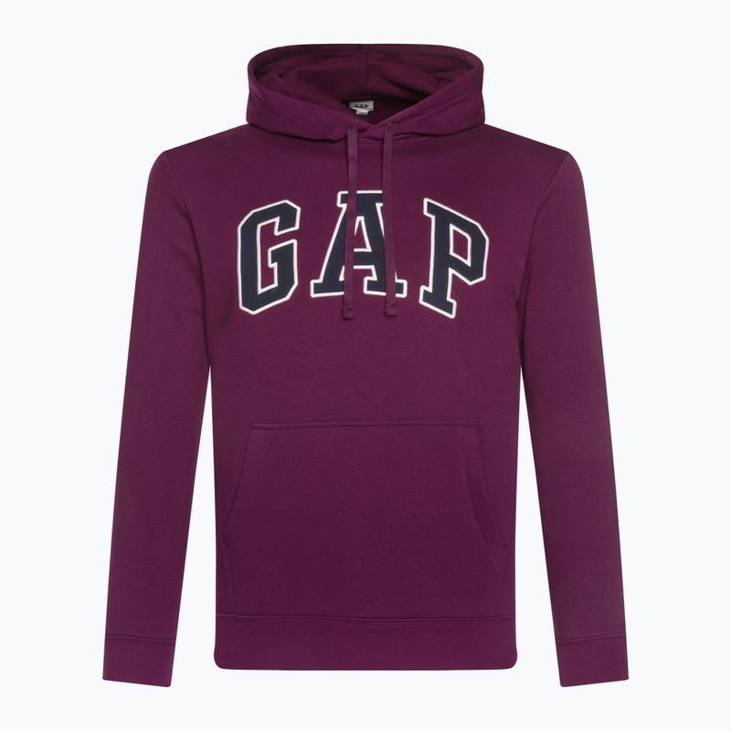 Bluza męska GAP V-Heritage Logo PO SNL beach plum 2