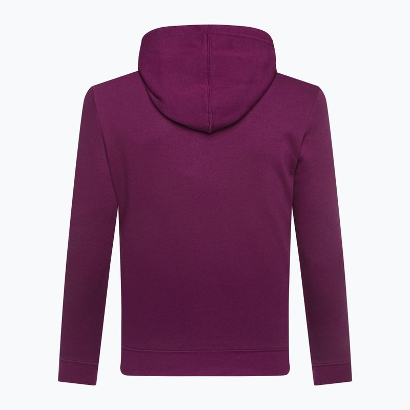Bluza męska GAP V-Heritage Logo PO SNL beach plum 3