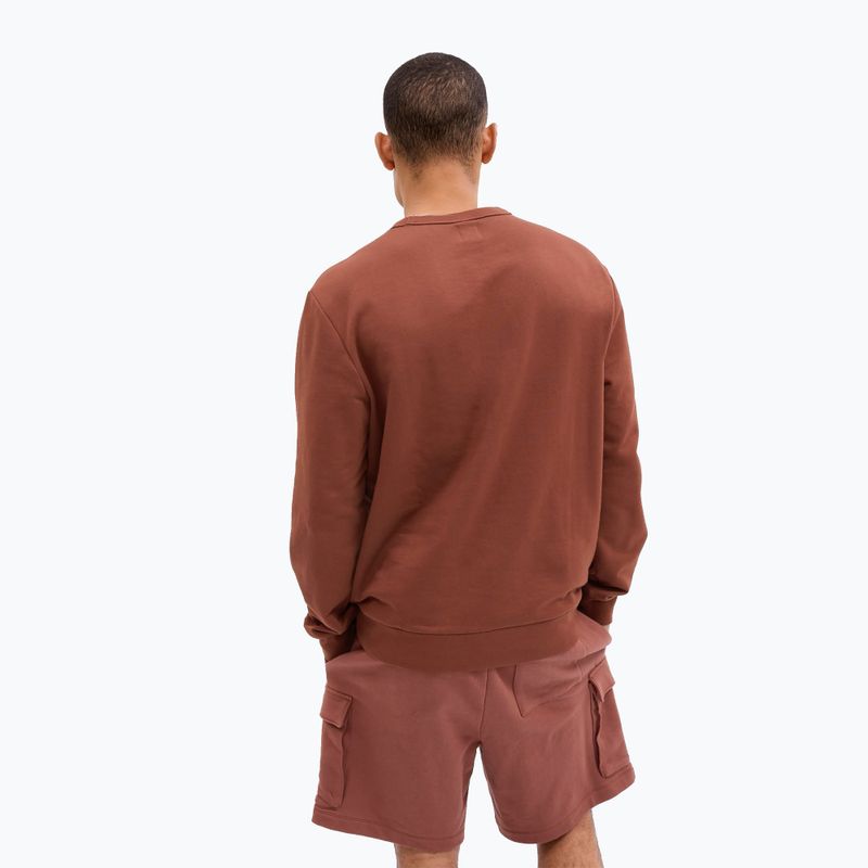 Bluza męska GAP Logo Crewneck burnt russet 2