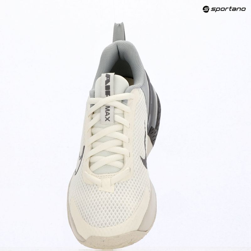 Buty treningowe męskie Nike Air Max Alpha Trainer 6 sail/light smoke grey/phantom/pencil point 5