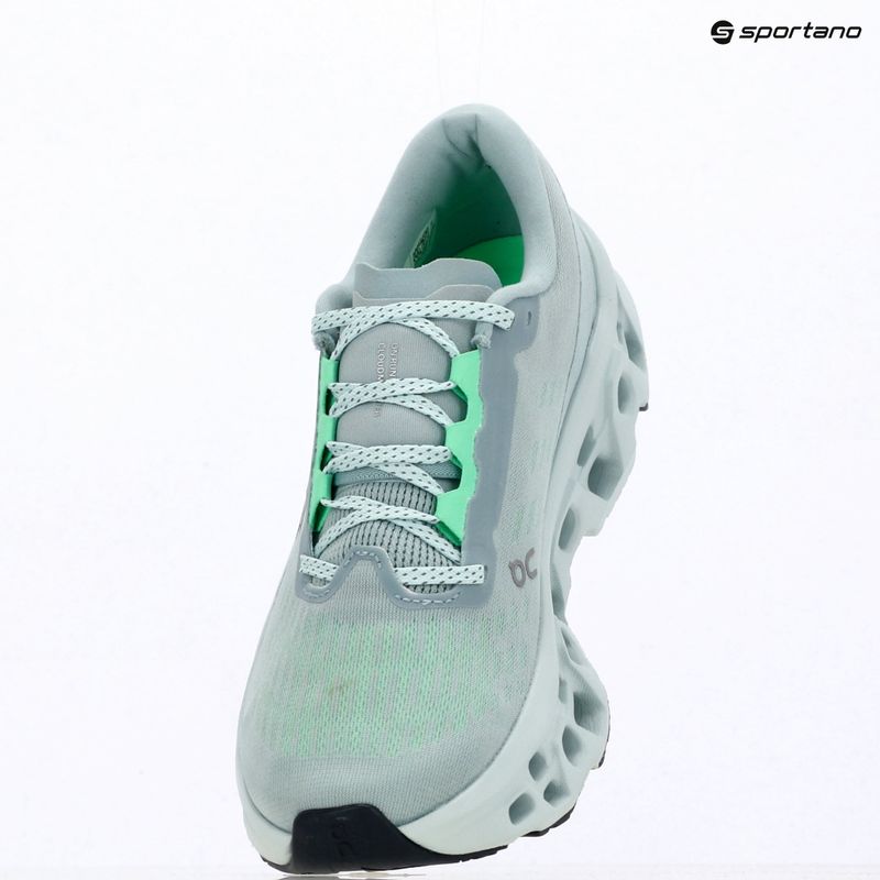 Buty do biegania damskie On Cloudmonster 3 brook/flurry 16
