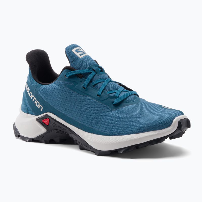 Buty do biegania męskie Salomon Alphacross 3 bluesteel/lunar rock/black