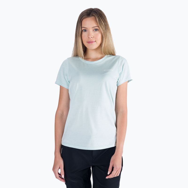 Koszulka trekkingowa damska Columbia Alpine Chill Zero icy morn heather