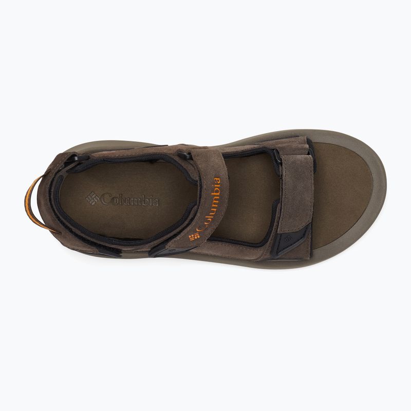 Sandały męskie Columbia Trailstorm Hiker 3 Strap cordovan/gold amber 16