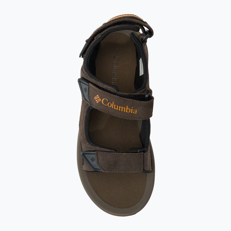 Sandały męskie Columbia Trailstorm Hiker 3 Strap cordovan/gold amber 6