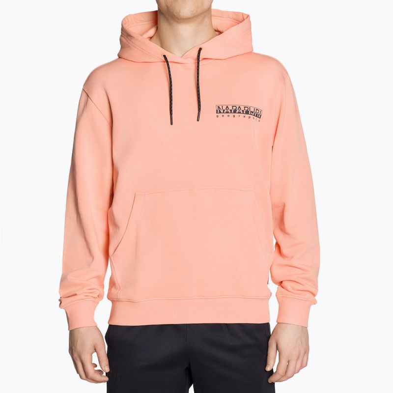 Bluza męska Napapijri B-Boyd H pink salmon 2