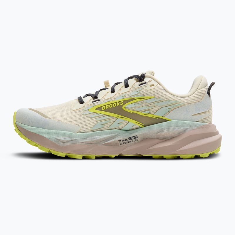 Buty do biegania damskie Brooks Cascadia 19 coconut/misty blue/ebony 3