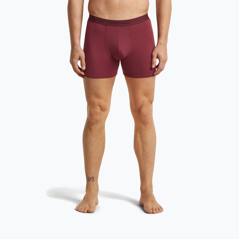 Bokserki termoaktywne męskie icebreaker Anatomica Boxers port 2
