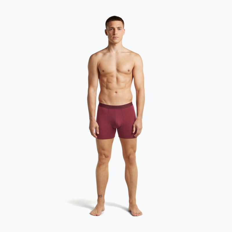 Bokserki termoaktywne męskie icebreaker Anatomica Boxers port 3