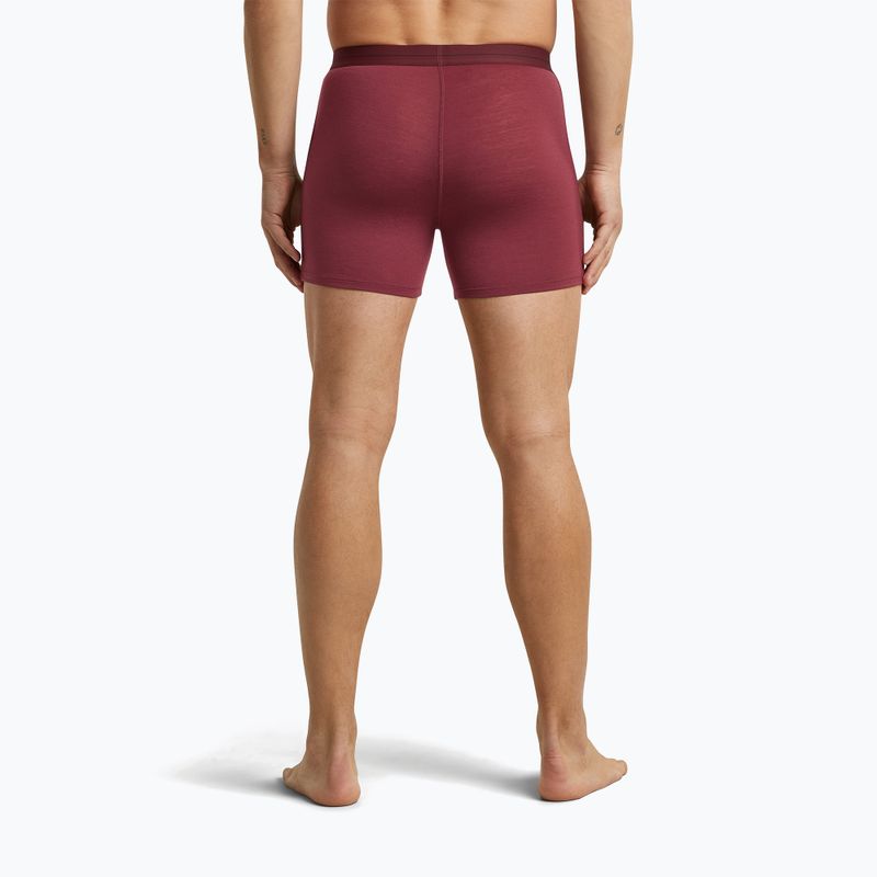 Bokserki termoaktywne męskie icebreaker Anatomica Boxers port 4
