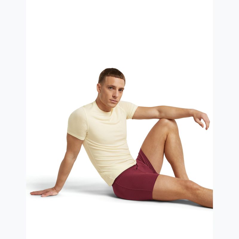 Bokserki termoaktywne męskie icebreaker Anatomica Boxers port 6