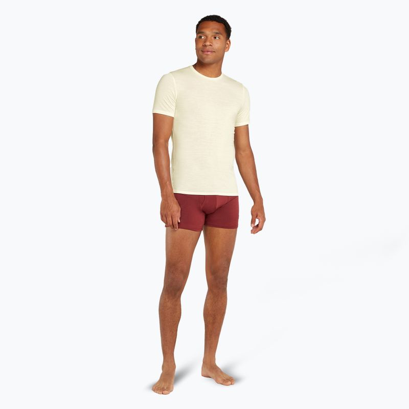 Koszulka trekkingowa męska icebreaker Anatomica Crewe undyed 2