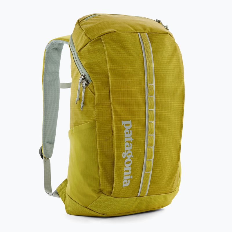 Plecak miejski Patagonia Black Hole Pack 25 l shrub green 2