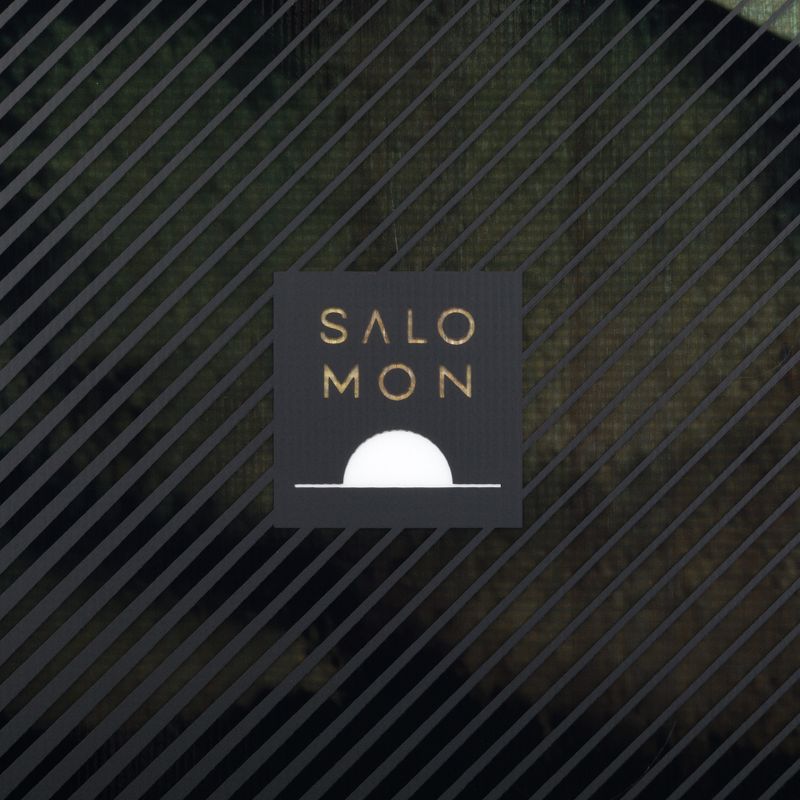 Deska snowboardowa męska Salomon Pulse black 5