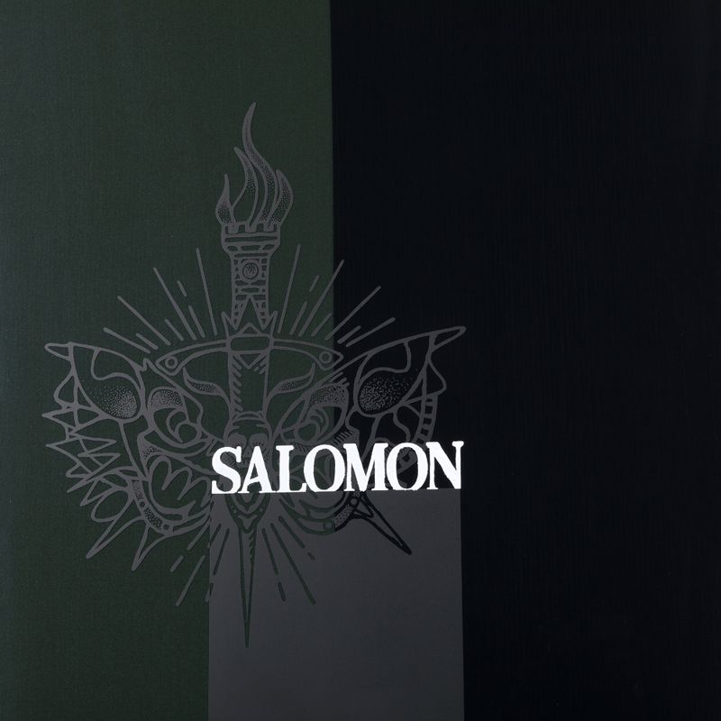 Deska snowboardowa męska Salomon Assassin PRO black/brown 6
