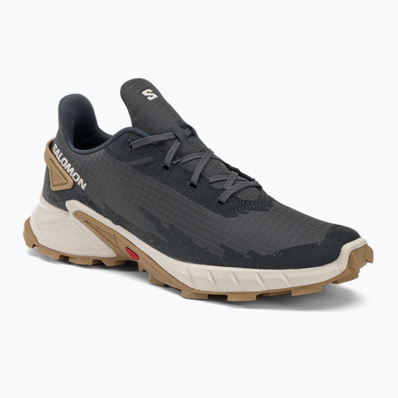 Buty do biegania męskie Salomon Alphacross 4 ebony/rainy day/phantm