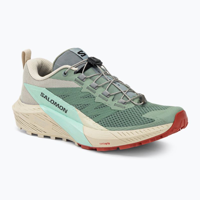 Buty do biegania damskie Salomon Sense Ride 5 lily/rainy day/bleached aqua
