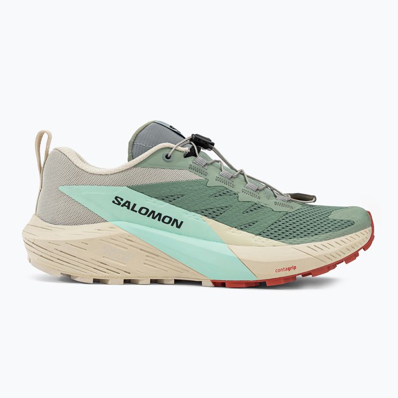 Buty do biegania damskie Salomon Sense Ride 5 lily/rainy day/bleached aqua 2