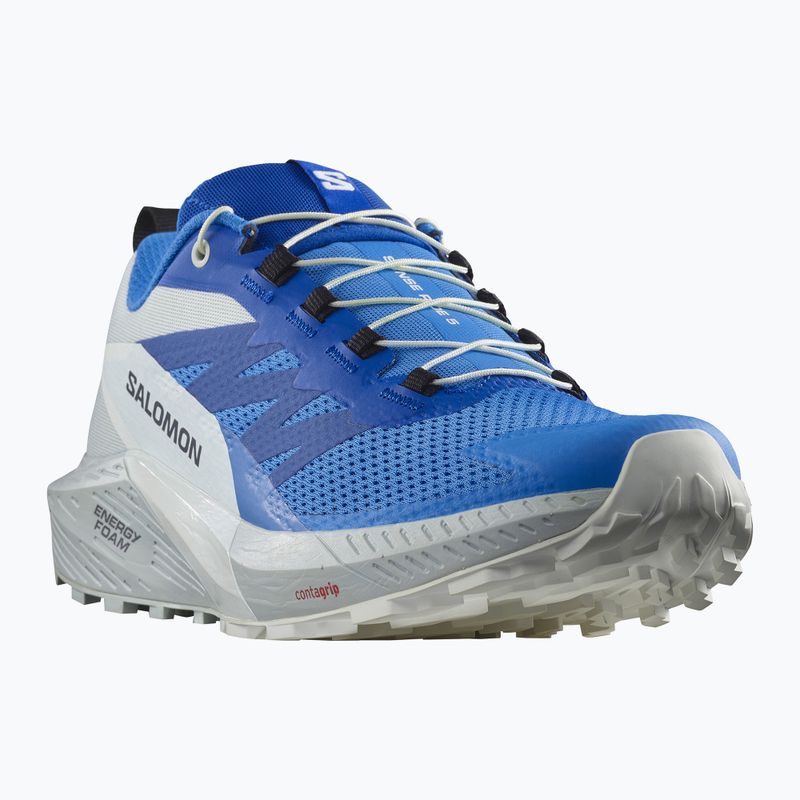 Buty do biegania męskie Salomon Sense Ride 5 ibiza blue/lapis/blue/white