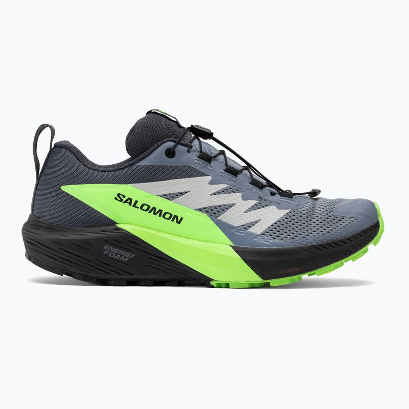 Buty do biegania męskie Salomon Sense Ride 5 GTX flint stone/black/green gecko 2