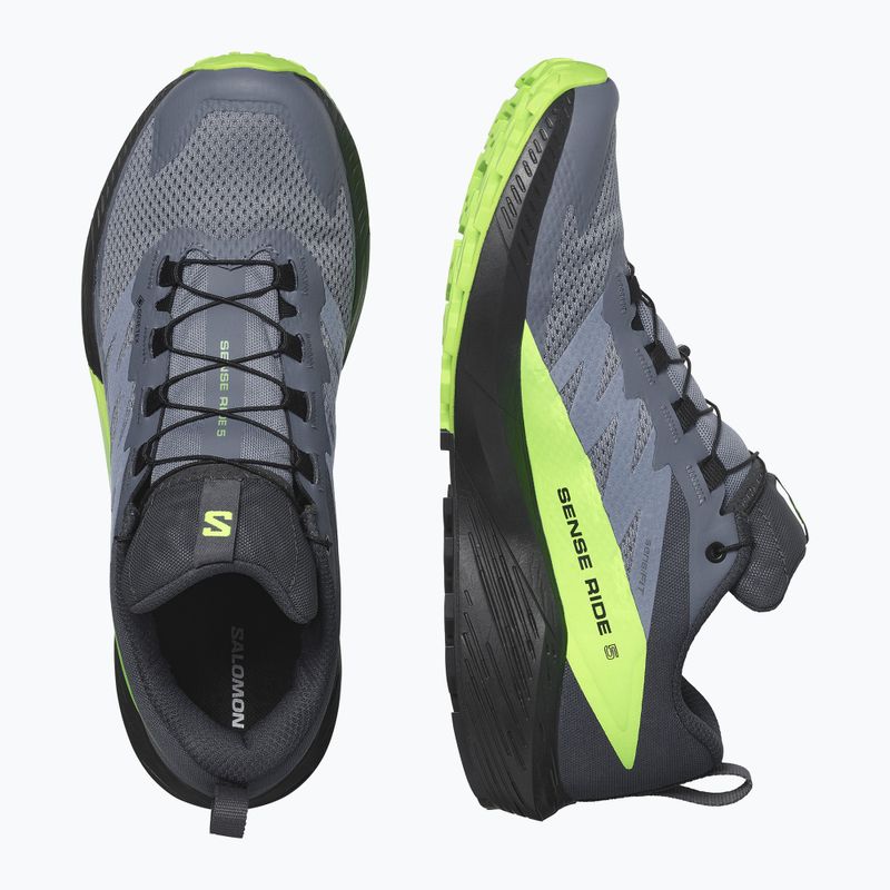 Buty do biegania męskie Salomon Sense Ride 5 GTX flint stone/black/green gecko 10