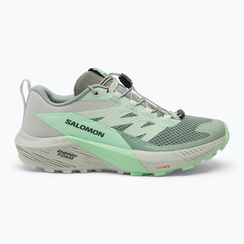 Buty do biegania damskie Salomon Sense Ride 5 lily pad/metal/green ash 2