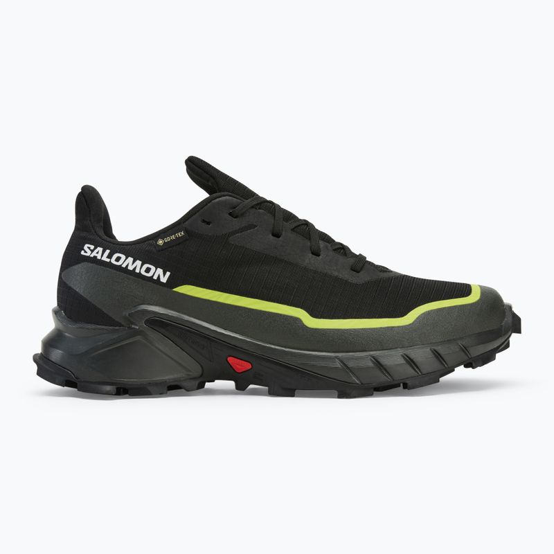 Buty do biegania męskie Salomon Alphacross 5 GTX black/peat/sulphur spring 2