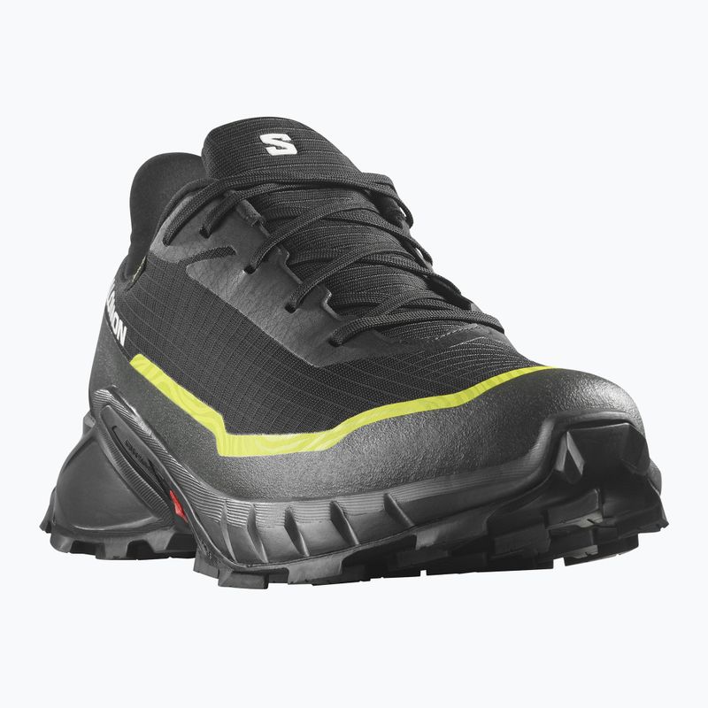 Buty do biegania męskie Salomon Alphacross 5 GTX black/peat/sulphur spring 8