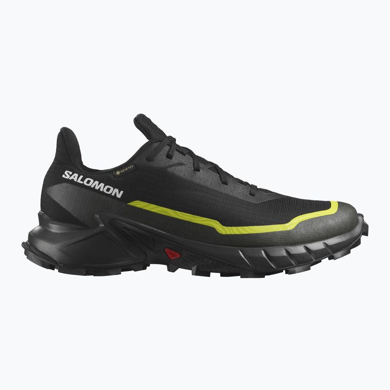 Buty do biegania męskie Salomon Alphacross 5 GTX black/peat/sulphur spring 9