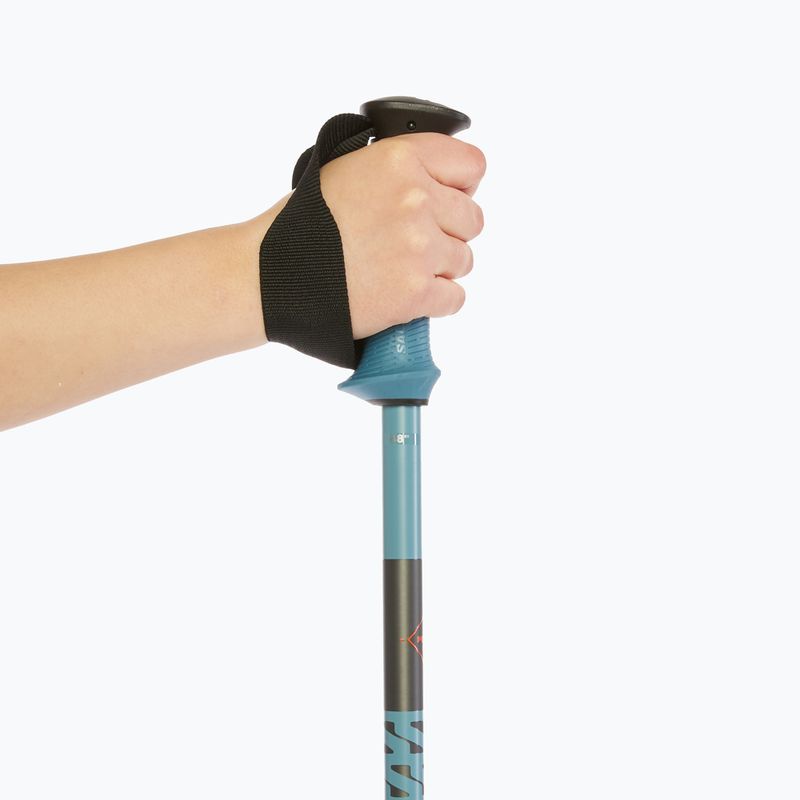 Kije narciarskie Salomon Polar Pro copen blue 6