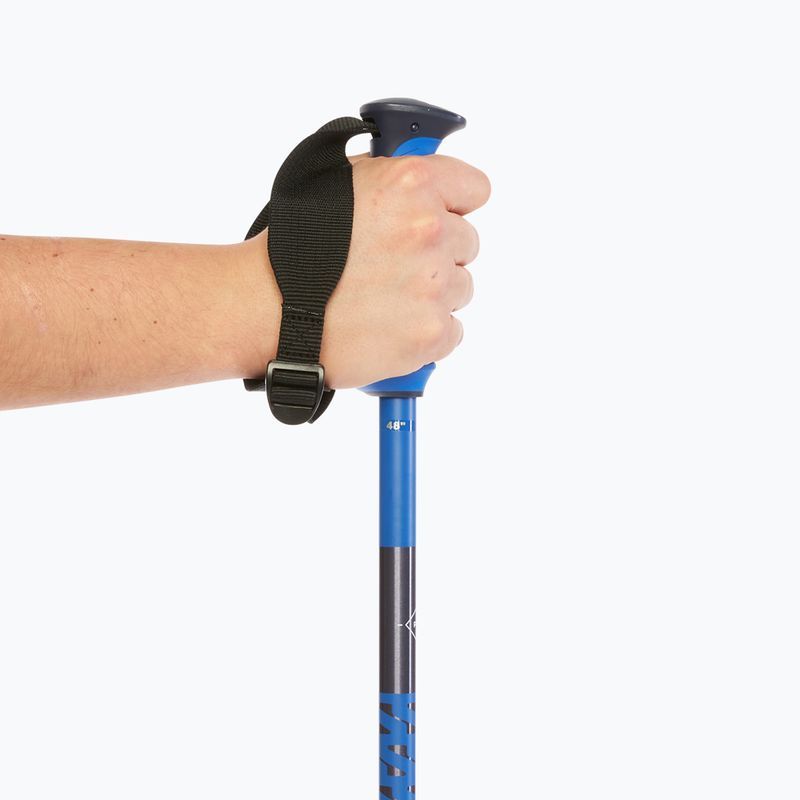 Kije narciarskie Salomon Polar Pro race blue 7