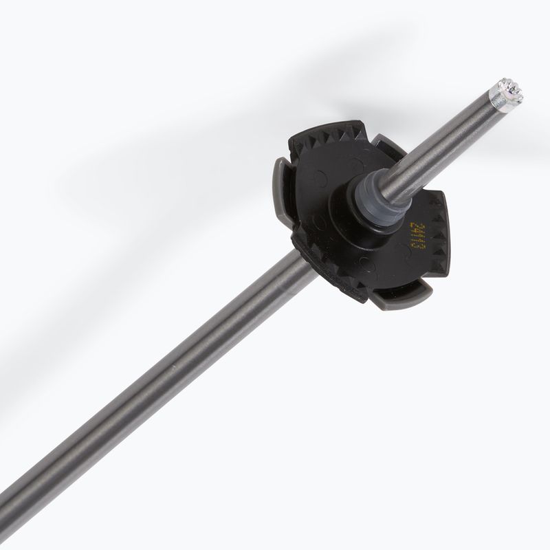 Kije narciarskie Salomon Polar black 5