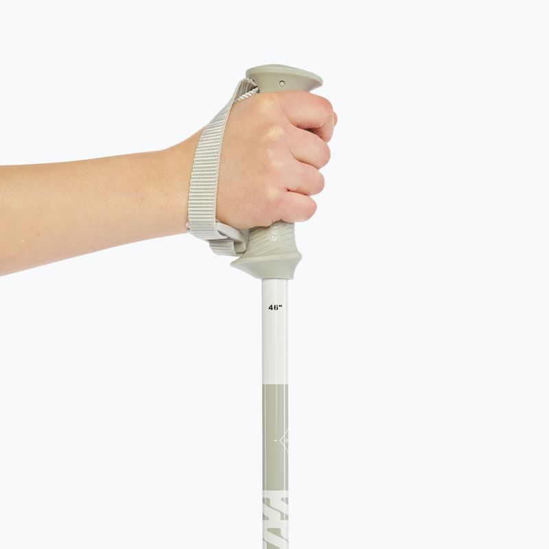 Kije narciarskie Salomon Polar Access white 6