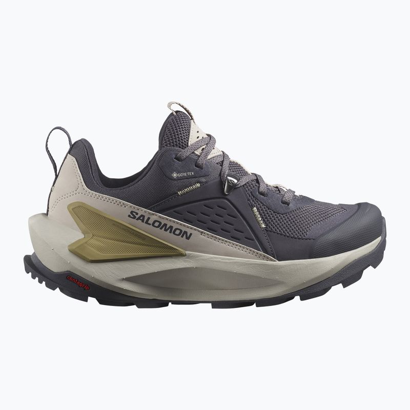 Buty turystyczne damskie Salomon Elixir GTX nine iron/silver cloud/sponge 9