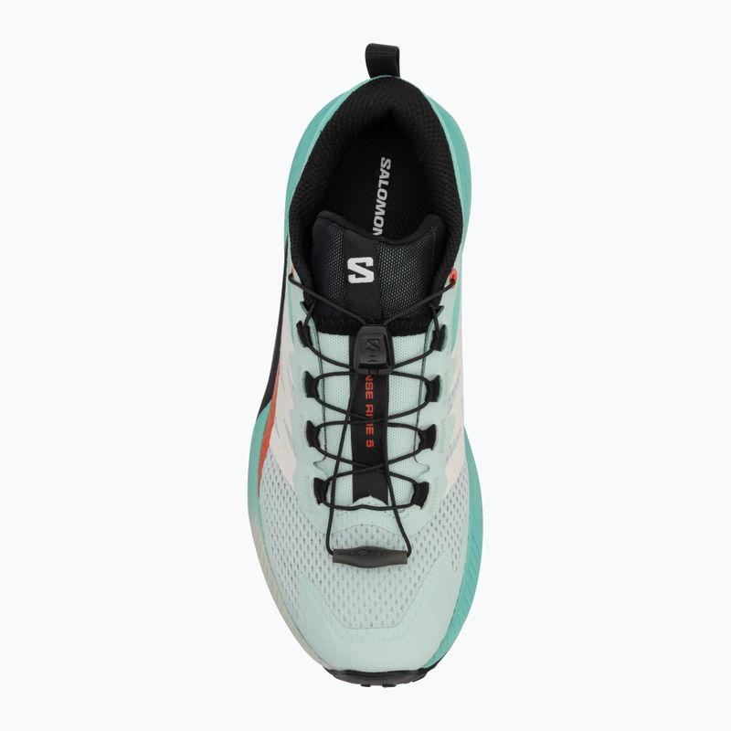 Buty do biegania damskie Salomon Sense Ride 5 bay/black/cherry tomato 5