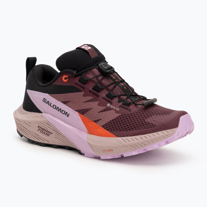 Buty do biegania damskie Salomon Sense Ride 5 GTX catawba grape/orchid bouquet/cherry tomato