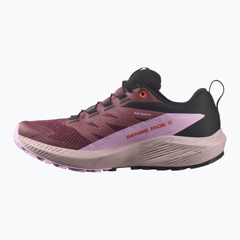 Buty do biegania damskie Salomon Sense Ride 5 GTX catawba grape/orchid bouquet/cherry tomato 9