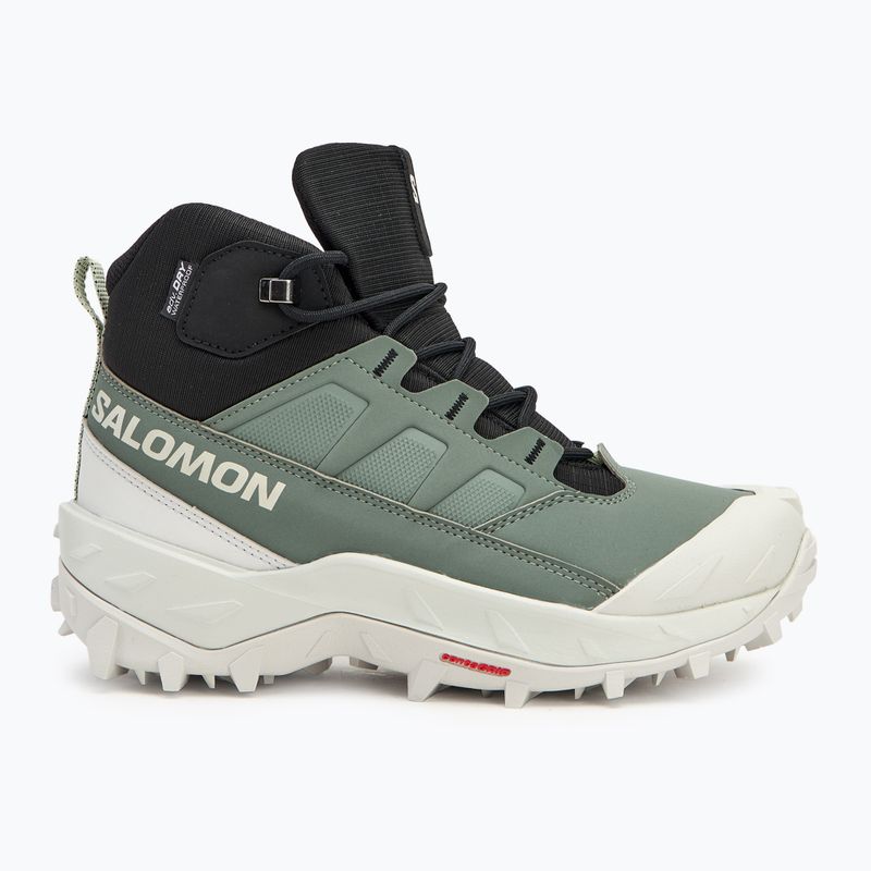 Buty trekkingowe damskie Salomon Crosstrak WP agave green/black/can ary green 2