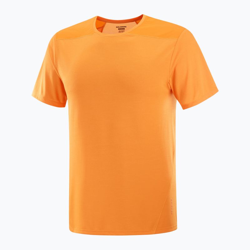 Koszulka męska Salomon Outline Tee turmeric 4
