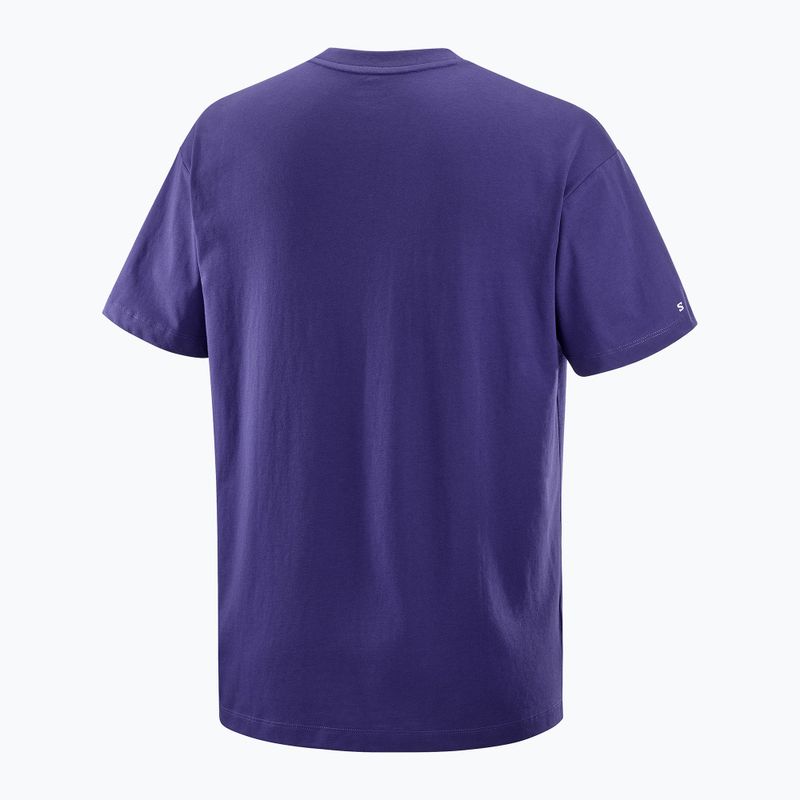 Koszulka męska Salomon Logo RX Tee astral 5