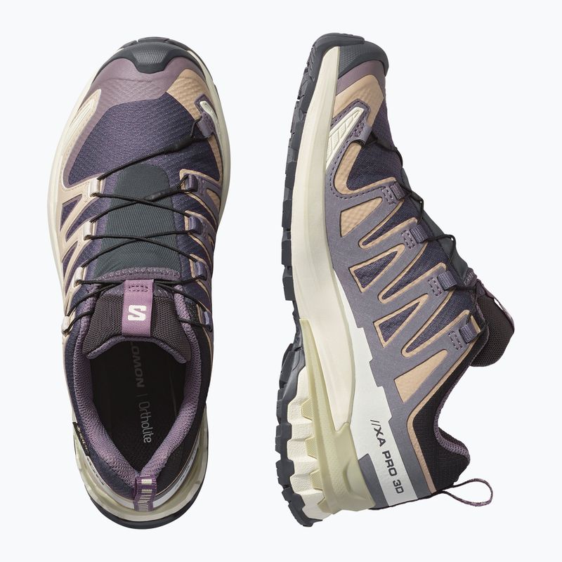 Buty do biegania damskie Salomon XA Pro 3D V9 GTX nine iron/oxford tan 3