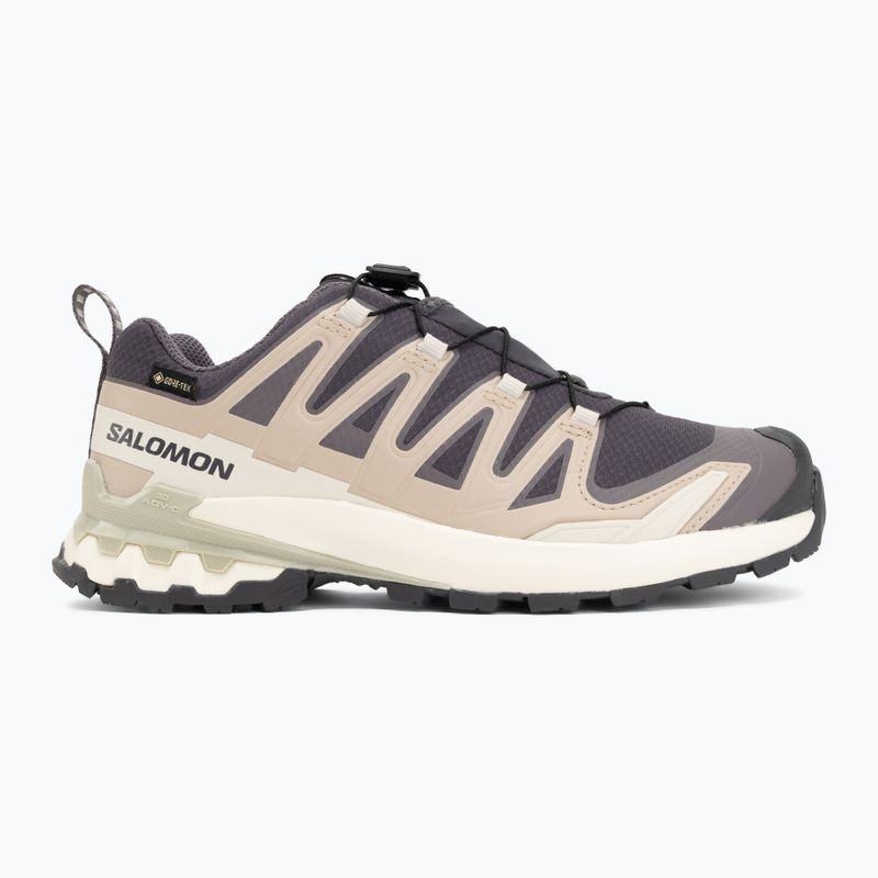 Buty do biegania damskie Salomon XA Pro 3D V9 GTX nine iron/oxford tan 2